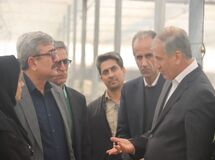 آثار خشکسالی و ناترازی انرژی؛ کاهش ۳۴ درصدی تولید گندم در سمنان
