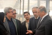 آثار خشکسالی و ناترازی انرژی؛ کاهش ۳۴ درصدی تولید گندم در سمنان
