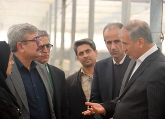 آثار خشکسالی و ناترازی انرژی؛ کاهش ۳۴ درصدی تولید گندم در سمنان
