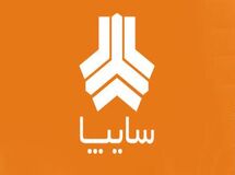 گلایه مشتریان از مشکلات طرح پیش فروش خودروی سایپا/ هرکس برای ثبت نام خودرو فقط 5 تا 15 ثانیه فرصت دارد!
