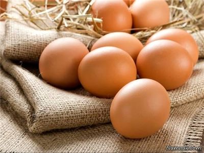 صادرات تخم مرغ آزاد شد