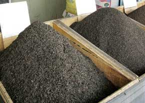 سود نزدیک به 30 هزار تومانی وارد کنندگان چای بابت واردات هر کیلو از این محصول/ سازمان حمایت هیچ برخوردی با گرانی چای نمی‌کند