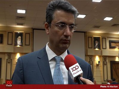 پدرام سلطانی، بیش از یک میلیون دلار ارز ۴۲۰۰ تومانی از دولت گرفت+ جدول