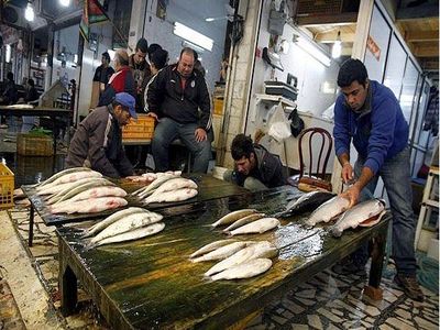 تولید آبزی پروری امسال 455 هزارتن برآورد شد