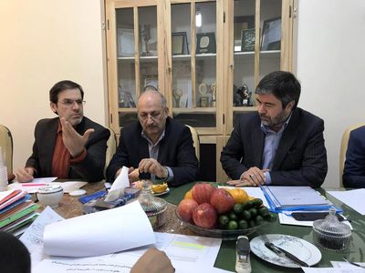 مجلس بودجه جداگانه‌ای به صندوق تامین خسارت‌های بدنی اختصاص می‌دهد/ از صندوق جدا نمی‌شوم