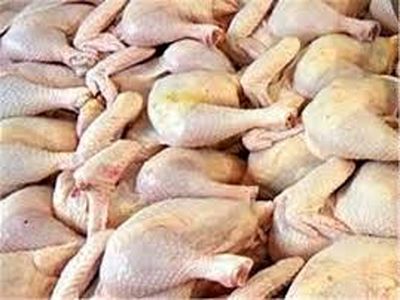 قیمت مصوب مرغ درجا زد