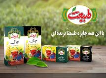 شرکت طبیعت سبز میهن طی یکسال اخیر ۶۷۰ میلیون دلار ارز ۴۲۰۰  تومانی گرفته است/ نام شرکت "طبیعت" در لیست متخلفان ارزی بانک مرکزی دیده می‌شود!