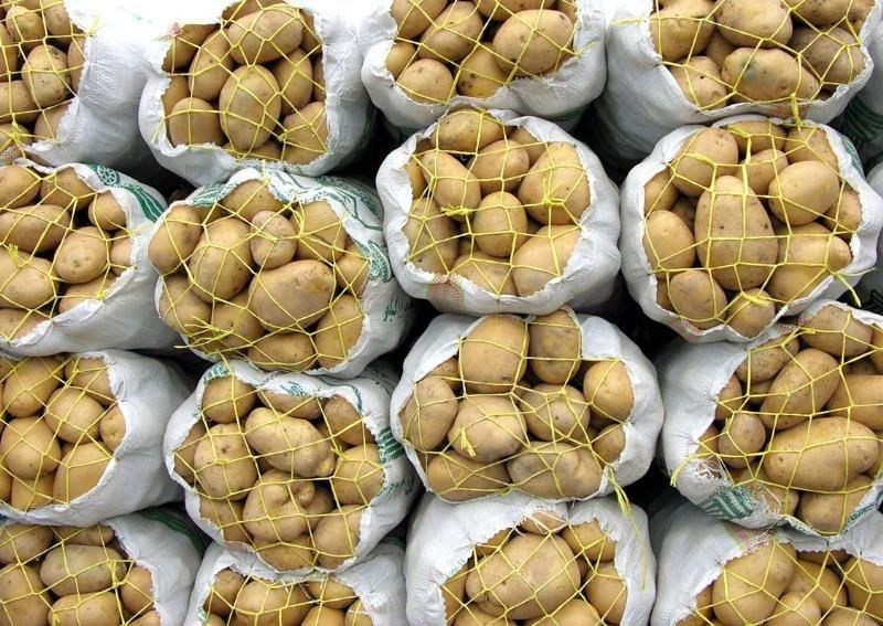 گرانی 6 هزار تومانی سیب زمینی در 16 ماه گذشته + نمودار