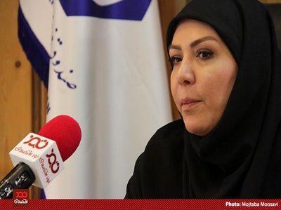 تنها متولی حمایت بیمه ای از صادرکنندگان غیرنفتی هستیم، اما سرمایه‌مان رقم ناچیز ۱۰۰ میلیون دلار است!