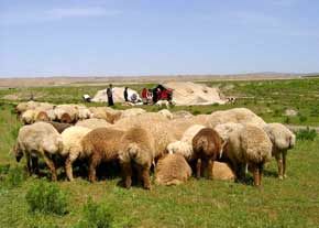 ۱۸ میلیون یورو برای آبرسانی به عشایر اختصاص یافت