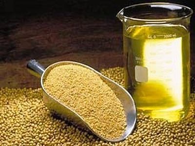 دولت حمایت کند، ۵ ساله در تولید دانه‌های روغنی خودکفا می‌شویم