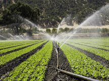 تجهیز ۱۸۲ هزار هکتار به سیستم نوین آبیاری