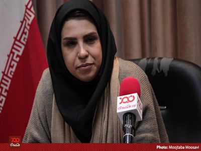 گرانی بنزین در زمان تشدید تحریم‌ها اشتباه بود/ رانندگان تاکسی اینترنتی و پیک موتوری‌ها بیشترین آسیب را از گرانی بنزین دیدند