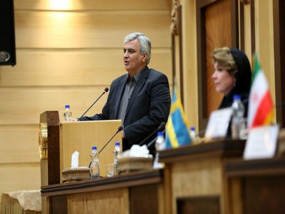 مکانیزم اینستکس بیشتر جنبه نمایشی دارد