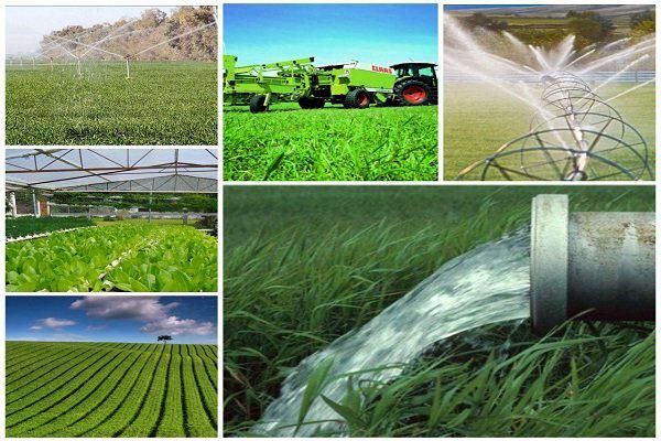 اتاق اصناف کشاورزی راهاندازی میشود
