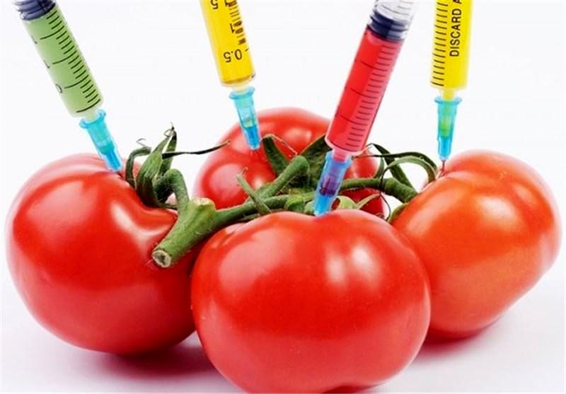 آمریکا محصولات تراریخته خود را مصرف نمیکند