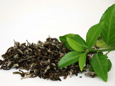 چای سنواتی وارد بازار نشده/بانک ملی وضعیت این چای را بعد ۱۷ سال مشخص کند