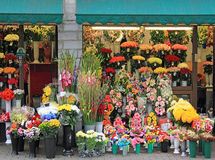 گل و گیاه حتی با یک چهارم قیمت هم مشتری ندارد/ دولت به تولید کنندگان وام کم بهره بدهد