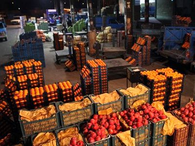 کرونا حدود ۳۰ درصد بر فعالیت صنف ما اثرگذاشته است