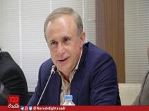بی توجهی مسوولان باعث معدوم سازی جوجه‌ها شد