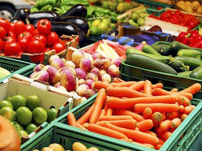 برای حل مشکلات باغداران ؛ الگوی کشت باید علمی شود  ­