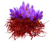 کرونا صادرات زعفران را متوقف کرد