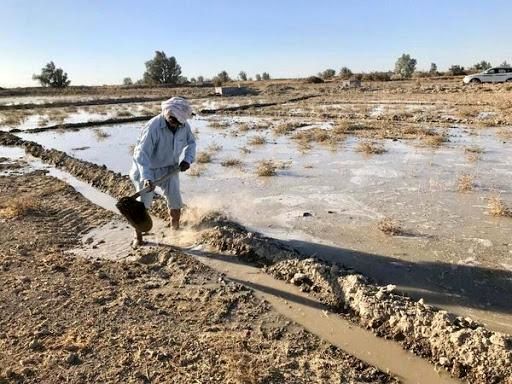 استان سیستان‌وبلوچستان در تولید محصولات کشاورزی رتبه ۱۴ را دارد