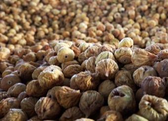  ارز آوری ۴۷ میلیون دلاری صادرات انجیر ایران