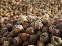  ارز آوری ۴۷ میلیون دلاری صادرات انجیر ایران