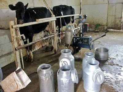 هیچگونه افزایشی در قیمت شیر نداریم
