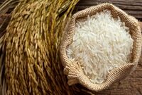 برنج پاکستانی، صدرنشین افزایش قیمت در اردیبهشت