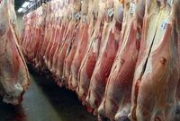  دلالان گوشت قرمز را ۲۰ تا ۲۵ درصد بالاتر از قیمت واقعی به بازار عرضه می‌کنند/احتمال ورشکستگی دامداران زیاد است