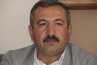 افزایش قیمت گوشت مرغ کاذب نیست / سالن ۶۰ درصد از مرغدارای‌ها خالی است