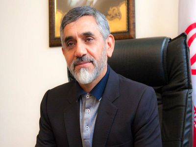 یک موبایل هم بدون انجام تشریفات قانونی فعال نمی‌شود/ شناسنامه‌دار کردن سیگار کمک زیادی به کاهش قاچاق آن کرد