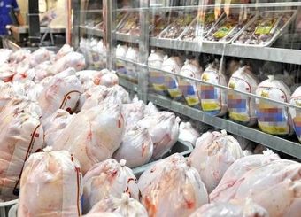 مرغ ۲۰ هزار تومانی نتیجه مداخلات غیر کارشناسی ستاد تنظیم بازار است
