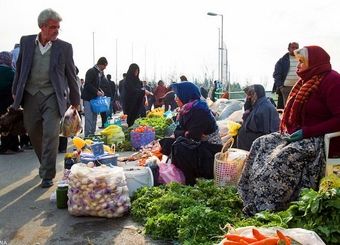  درآمد بیش از ۲ میلیون روستانشین کشور ماهانه کمتر از ۵۰۰ هزار تومان است