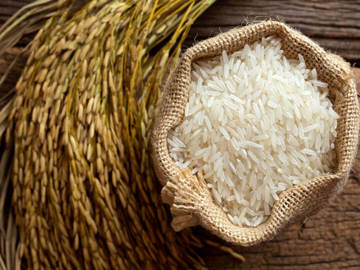 احتمال حذف برنج از سبد خانوار/ گرانی ۸۵ درصدی، خانوارها را از خرید برنج منصرف میکند؟