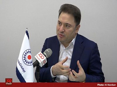 بیمه‌نامه اعتباری در صنعت بیمه یک بخش مرده و بدون حیات است