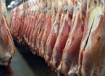 دلالان از هر کیلو گوشت ۴۰ درصد سود می‌برند