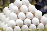  قیمت مصوب هر شانه تخم‌مرغ در فروشگاه‌ها حداکثر ۲۰ هزار تومان است