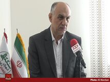 کمبود آرد در کشور وجود ندارد، مشکل نانواها در حمل و توزیع آرد است