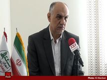 کمبود آرد در کشور وجود ندارد، مشکل نانواها در حمل و توزیع آرد است