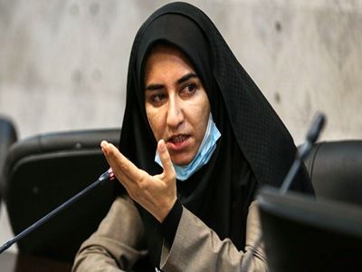 نطق جنجالی نماینده مجلس در صحن علنی مجلس+فیلم