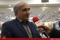 نبود کیفیت، علت اصلی بازگشت گوجه فرنگی‌های صادراتی از عراق بود