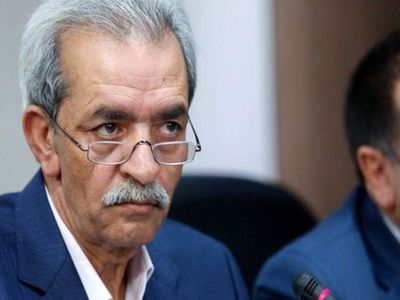 وجود ۷۰ صادرکننده کارتن‌خواب باید اثبات شود
