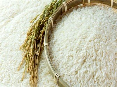 قیمت برنج در دولت دوازدهم چقدر گران شد؟
