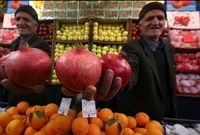 برنامه ستاد تنظیم بازار برای شب یلدا