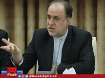 حذف ارز ترجیحی قطعا تورم‌زاست/مردم توان تحمل تورم و فشار جدید را ندارند