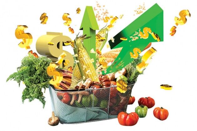 زمینه صادرات محصولات کشاورزی به قطر فراهم نشد/ مشوق صادراتی برای تجار ایرانی وجود ندارد