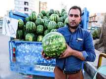 افت قدرت خرید هندوانه درجامعه!